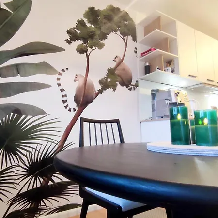 Rooftop In Naehe Strassburg & Europaparlament * Kehl