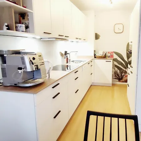 Rooftop In Naehe Strassburg & Europaparlament * Kehl