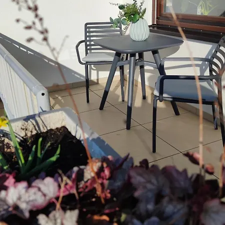 Rooftop In Nähe Straßburg&europaparlament Apartment *